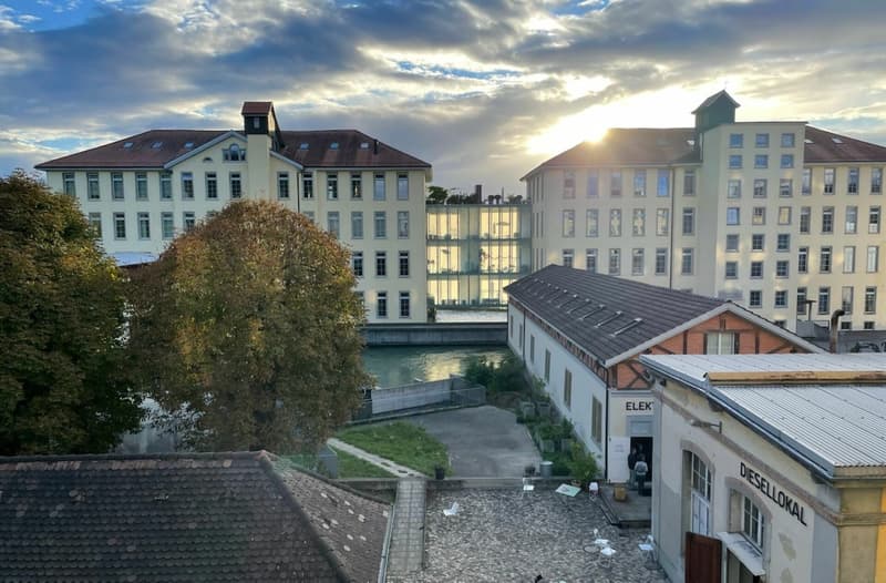 Exklusive Loftwohnung an der Reuss (4)
