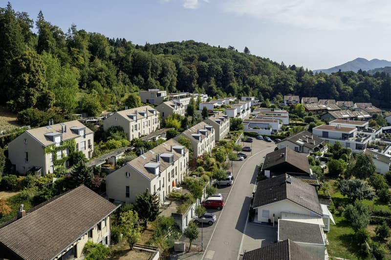 Reihenfamilienhaus Nähe Waldrand im Quartier Segelhof (2)