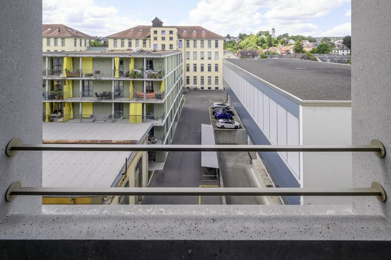 Exklusive Loftwohnung an der Reuss (11)