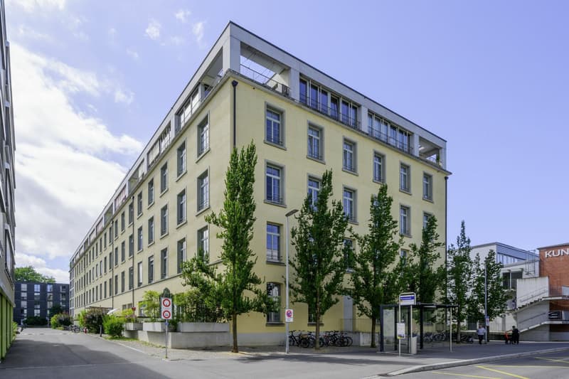 Exklusive Loftwohnung an der Reuss (1)