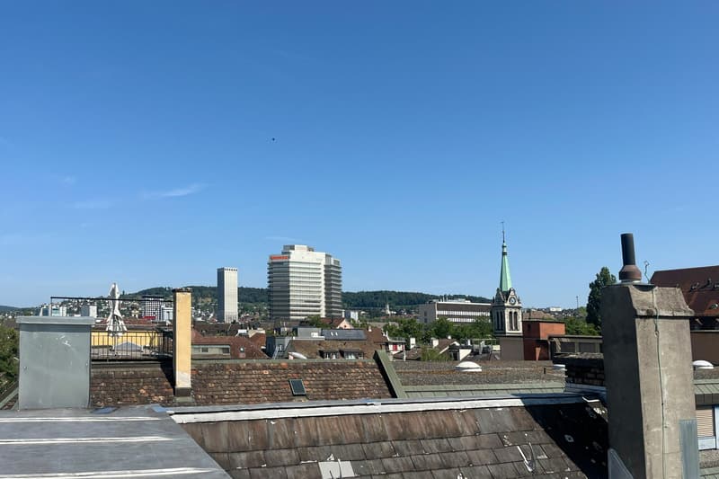 Zentralgelegene Wohnung und Gewerbeflächen im Kreis 5 (13)