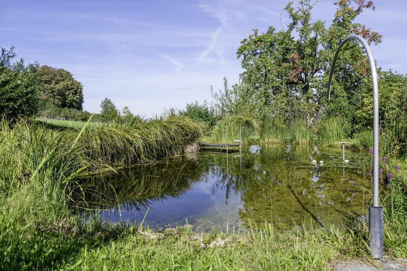 Bauernhaus am Waldrand mit Schwimmteich und eigener Quelle (14)