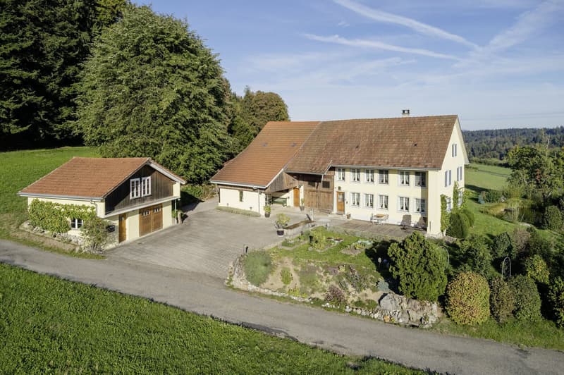Bauernhaus am Waldrand mit Schwimmteich und eigener Quelle (1)