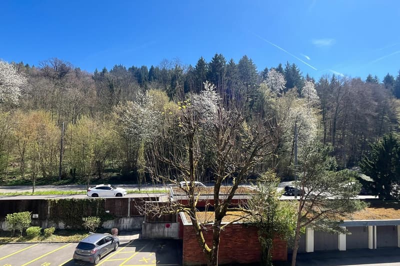 Wohnung mit Balkon mit Sicht ins Grüne nahe dem Dättwiler Weiher (2)