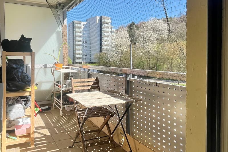 Wohnung mit Balkon mit Sicht ins Grüne nahe dem Dättwiler Weiher (9)