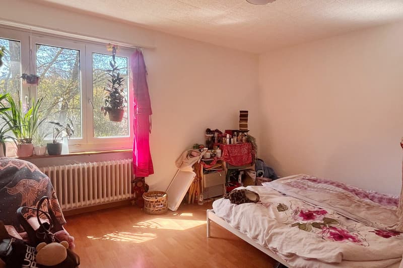 Wohnung mit Balkon mit Sicht ins Grüne nahe dem Dättwiler Weiher (4)