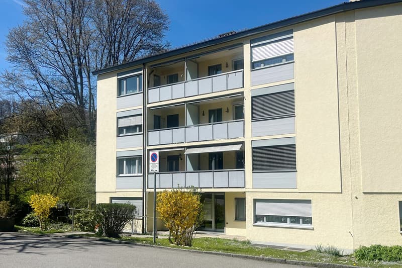 Wohnung mit Balkon mit Sicht ins Grüne nahe dem Dättwiler Weiher (1)