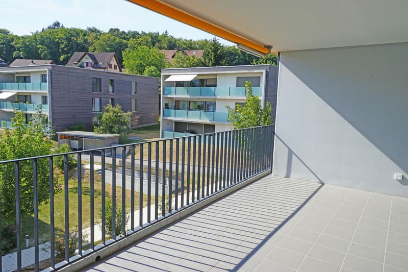 2.5 Zimmer Attika-Wohnung in der Nähe des Hallwilersees (7)