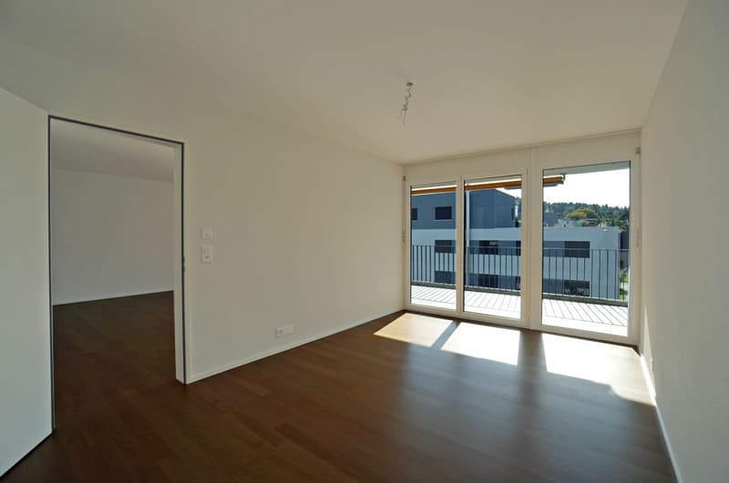 2.5 Zimmer Attika-Wohnung in der Nähe des Hallwilersees (5)