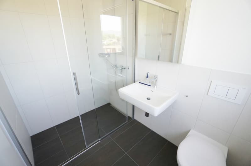 2.5 Zimmer Attika-Wohnung in der Nähe des Hallwilersees (6)