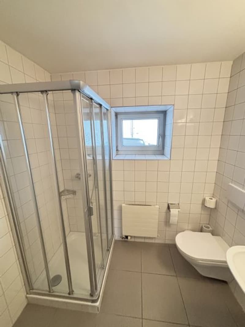 1.5 Rooms - Loft Apartment for Rent (4)