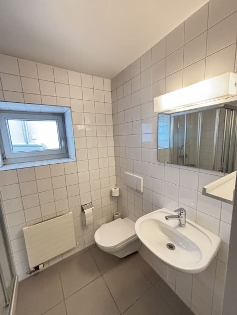 1.5 Rooms - Loft Apartment for Rent (5)