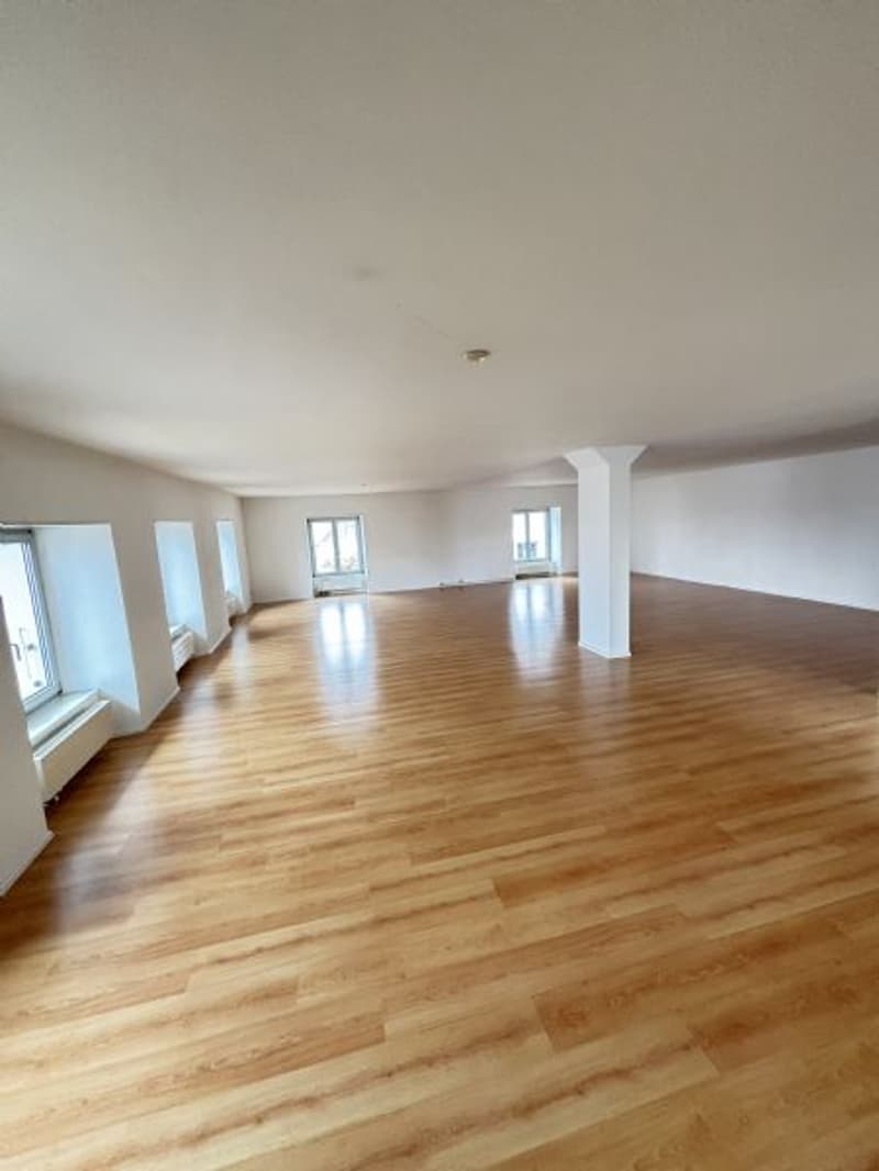 1.5 Rooms - Loft Apartment for Rent (2)