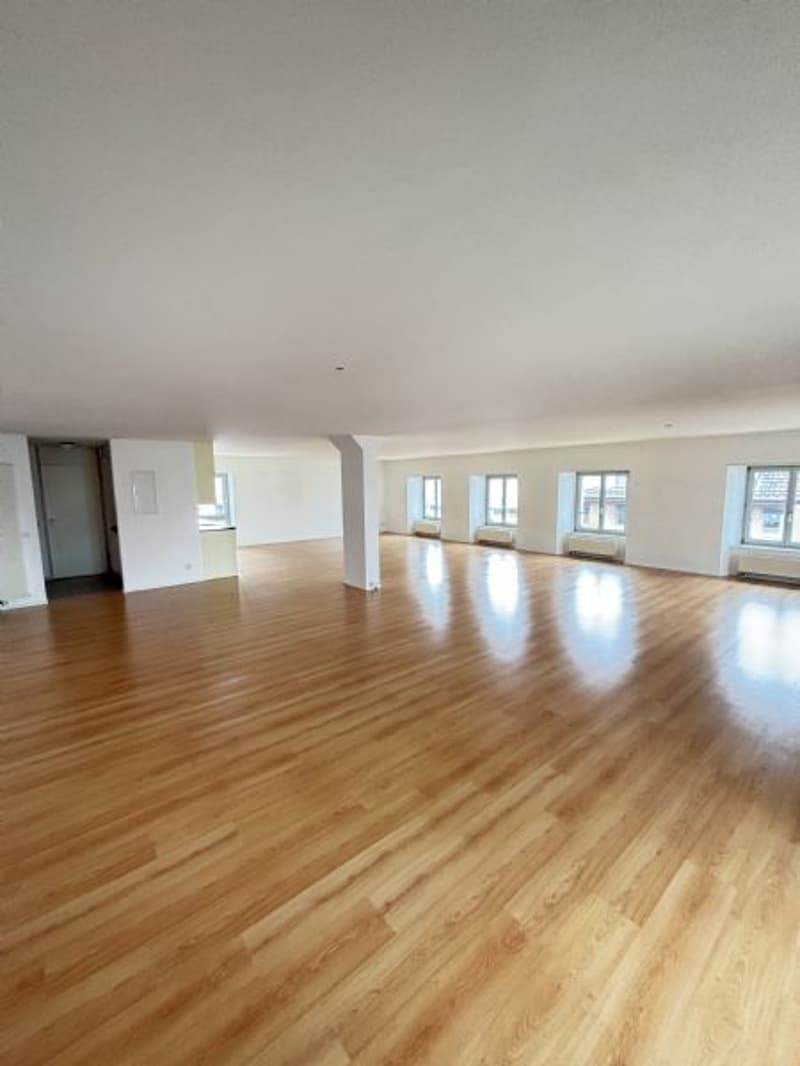 1.5 Rooms - Loft Apartment for Rent (3)