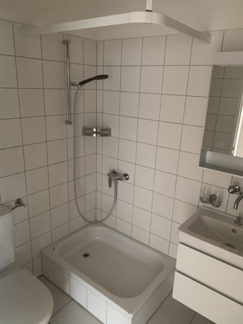 1 Zimmerwohnung zu vermieten (5)