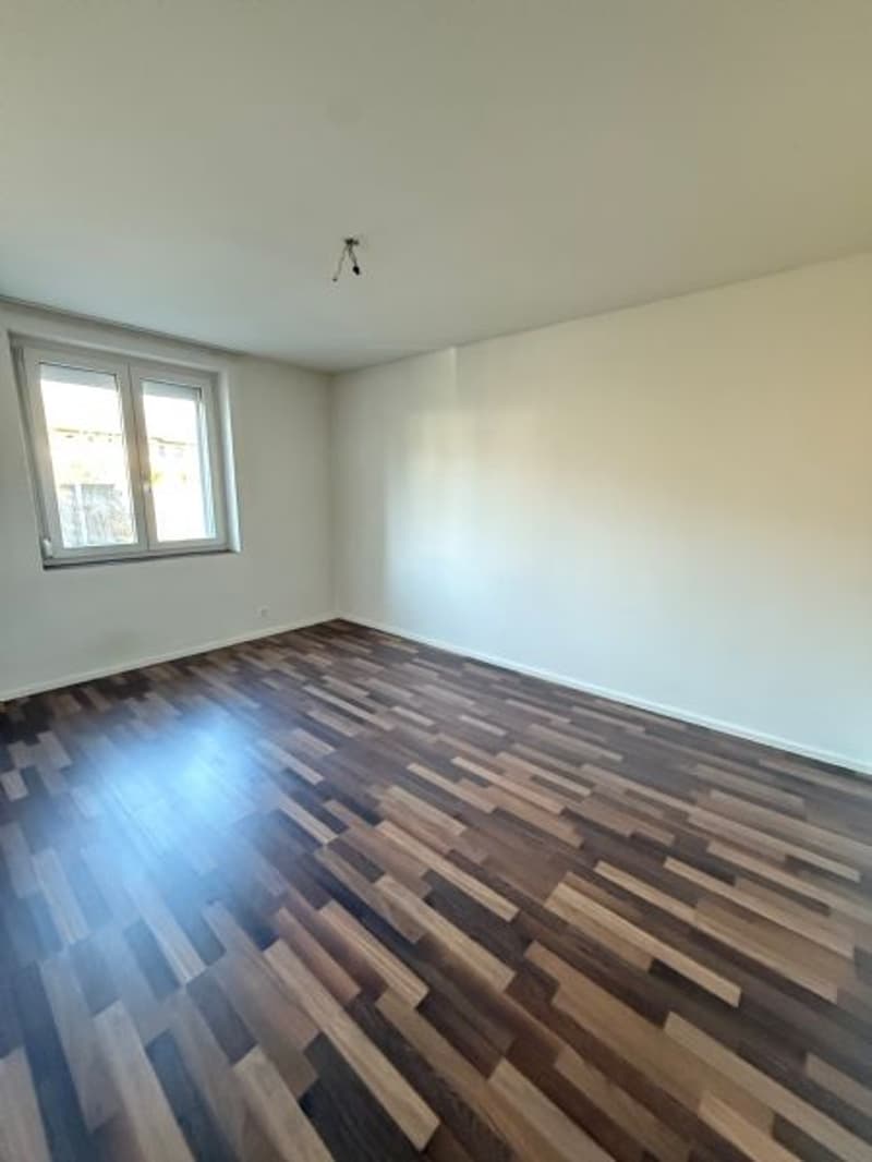 Sanierte und helle 3-Zimmerwohnung nähe Allmend Bahnhof zu vermieten (6)