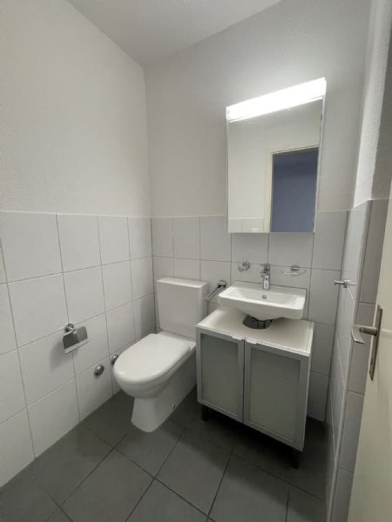 4.5-Zimmer-Wohnung in zentraler Lage zu vermieten (6)