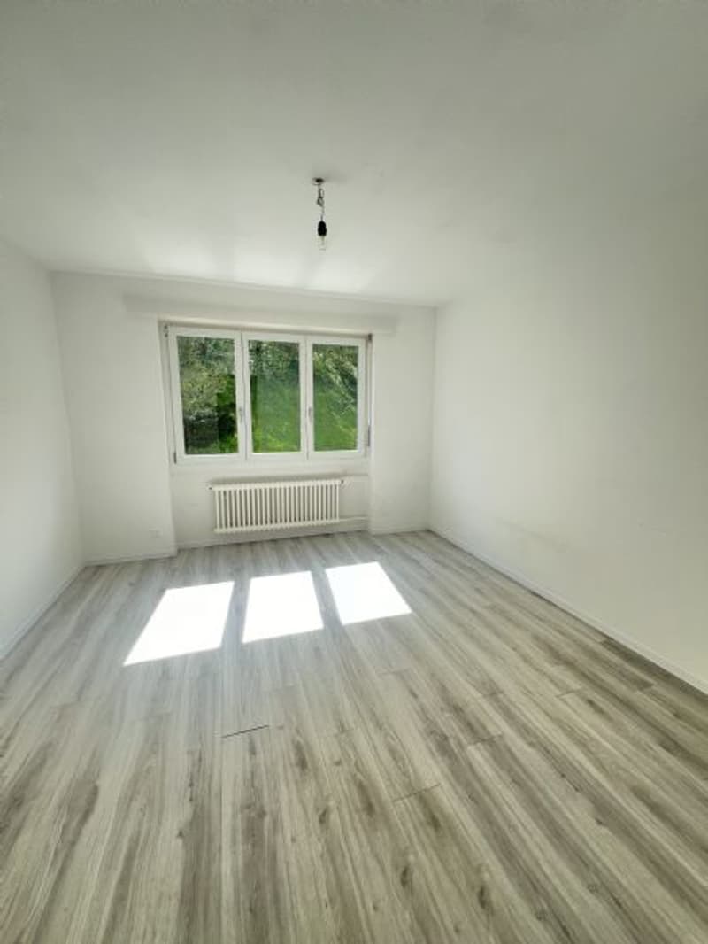 Helle und Grosse 4-Zimmerwohnung an ruhiger Lage (6)