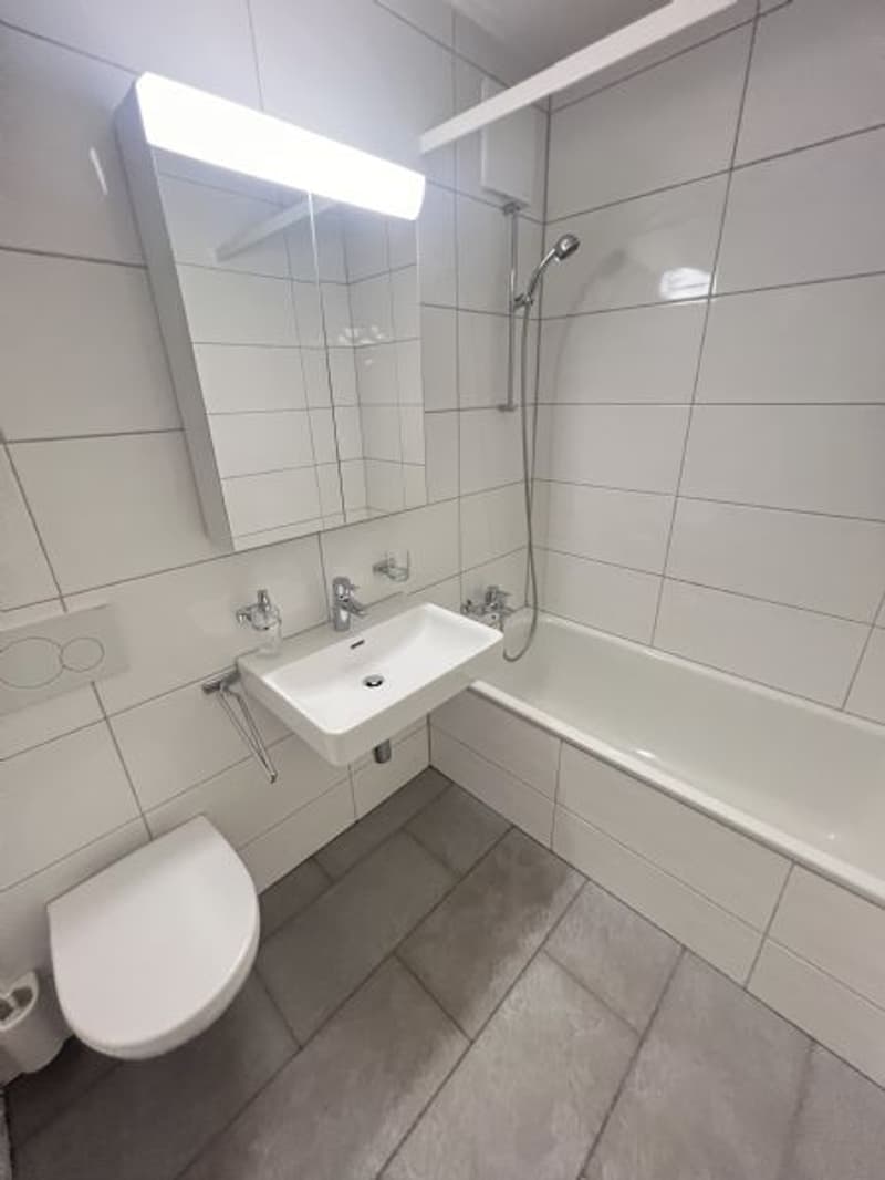 Helle und Grosse 4-Zimmerwohnung an ruhiger Lage (7)