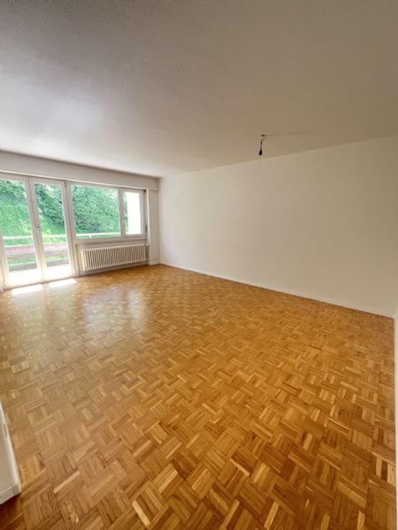 Helle und Grosse 4-Zimmerwohnung an ruhiger Lage (3)