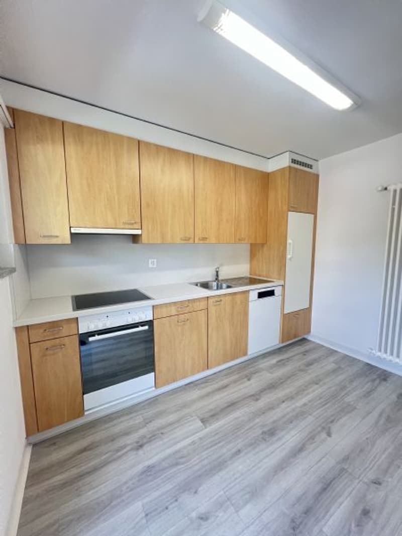 Helle und Grosse 4-Zimmerwohnung an ruhiger Lage (2)