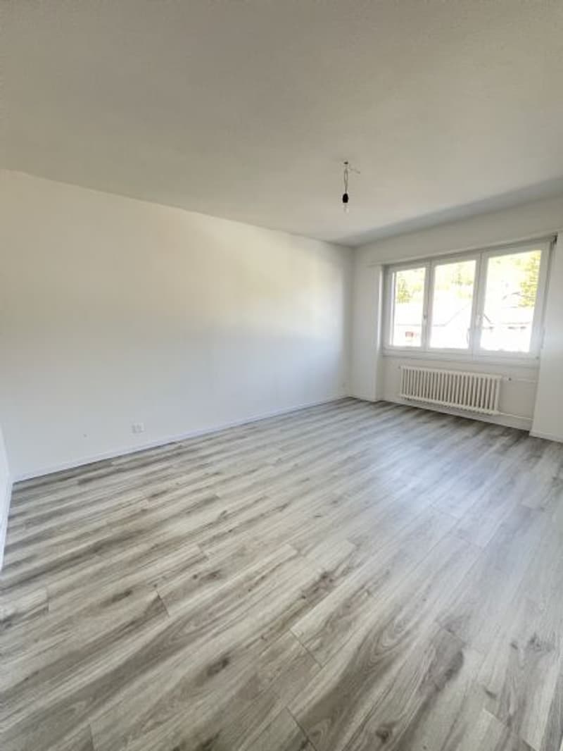 Helle und Grosse 4-Zimmerwohnung an ruhiger Lage (5)
