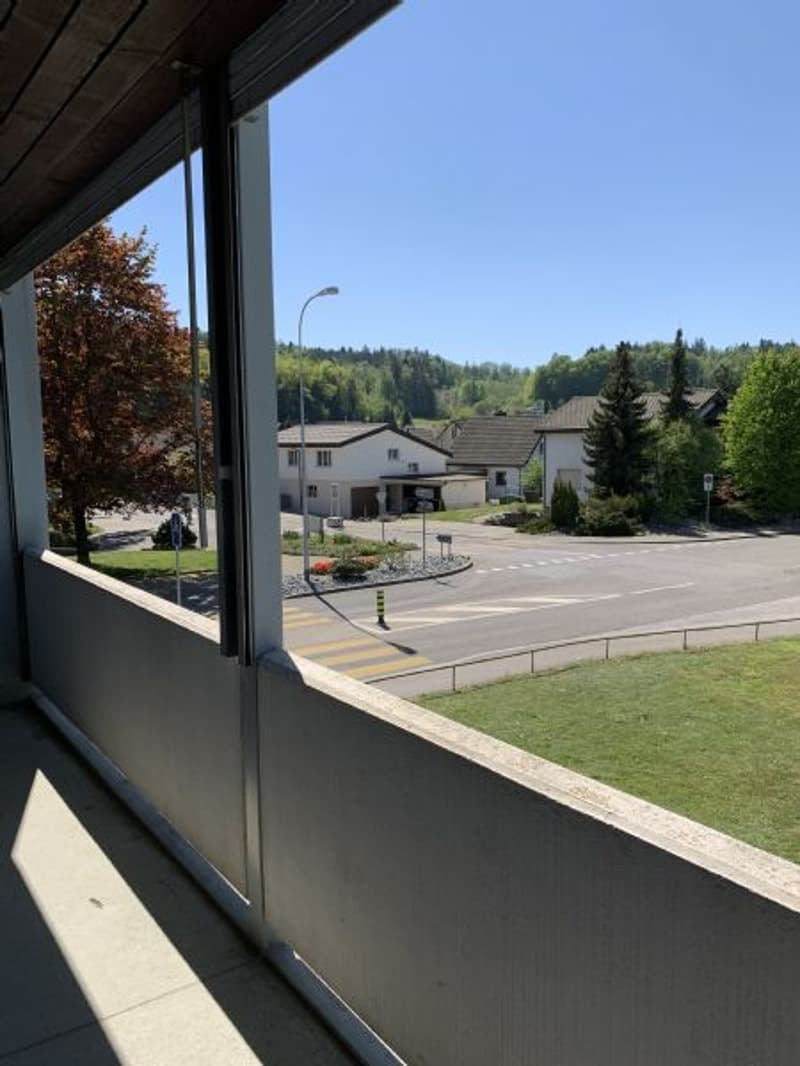 Helle und grosse 3-Zimmerwohnung an ruhiger Lage mit grossem Balkon (6)