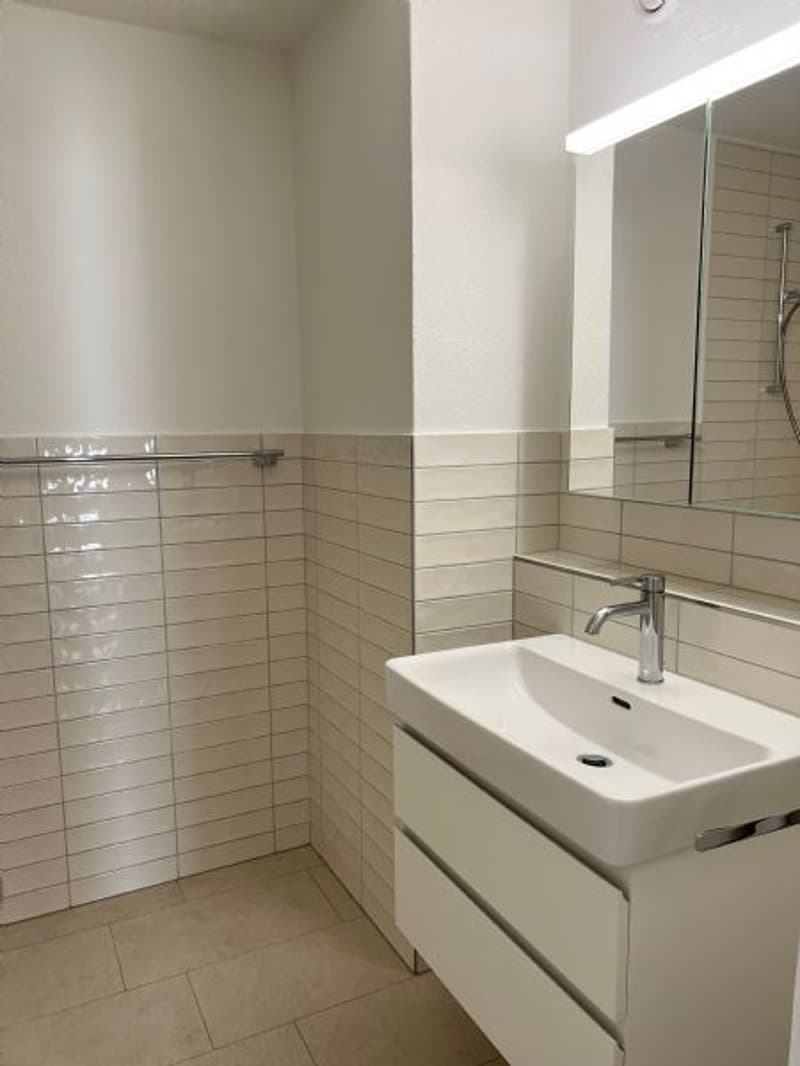 Sanierte und helle 4.5-Zimmerwohnung (9)