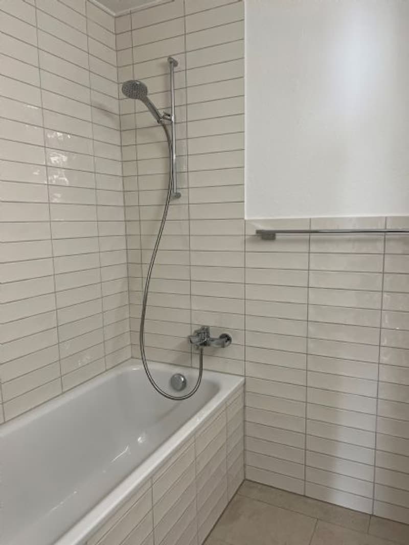 Sanierte und helle 4.5-Zimmerwohnung (10)