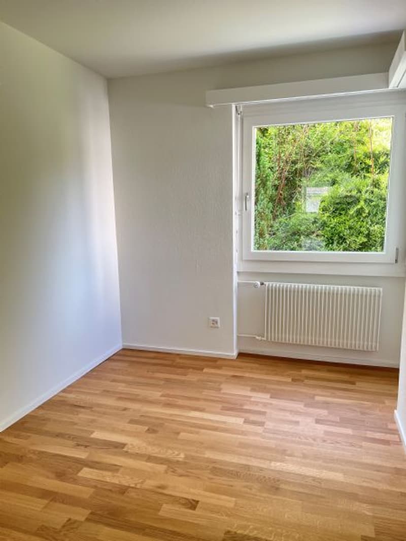 Sanierte und helle 4.5-Zimmerwohnung (7)