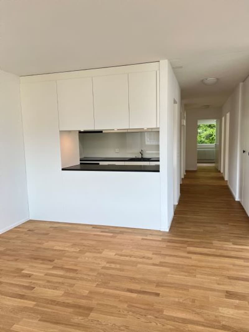 Sanierte und helle 4.5-Zimmerwohnung (3)