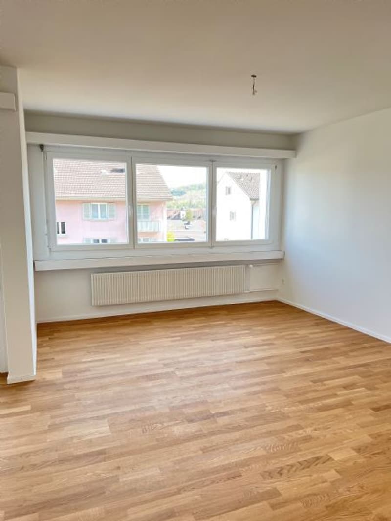 Sanierte und helle 4.5-Zimmerwohnung (2)