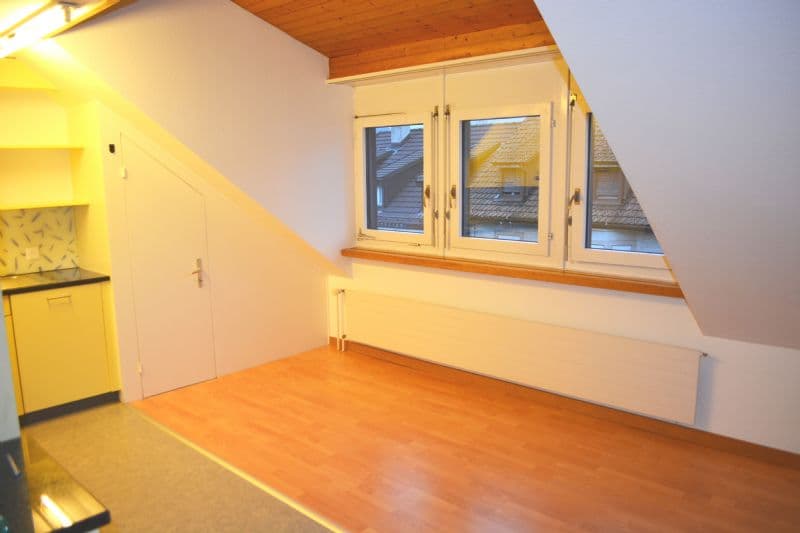 2,5-Zimmerdachwohnung nähe Bahnhof (3)