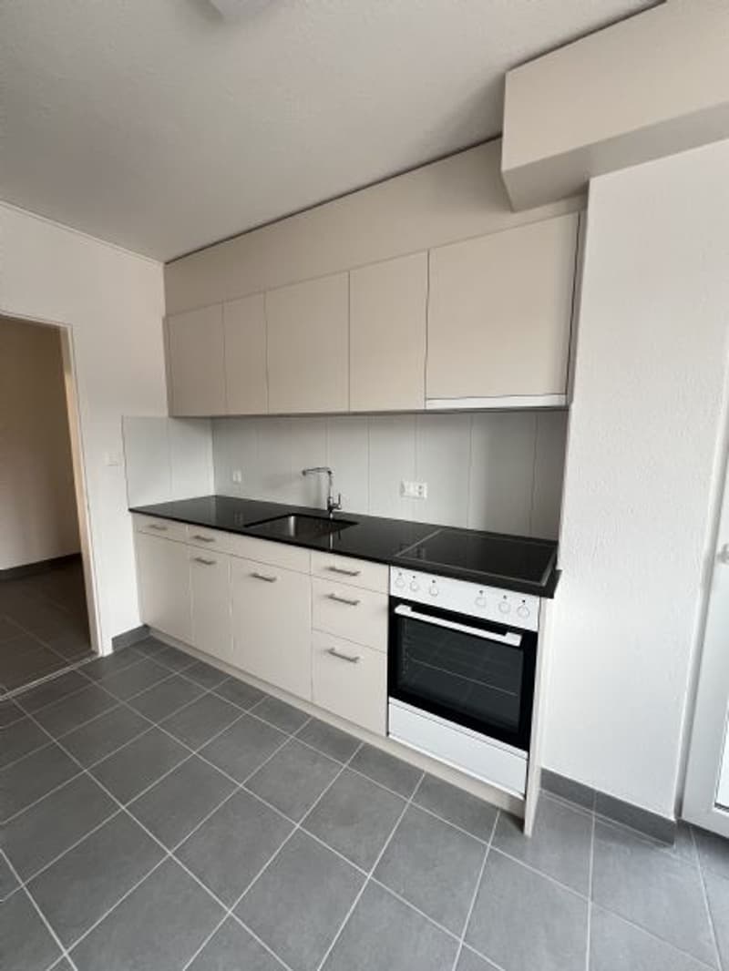 Sanierte 6-Zimmerwohnung an guter Lage zu vermieten (2)