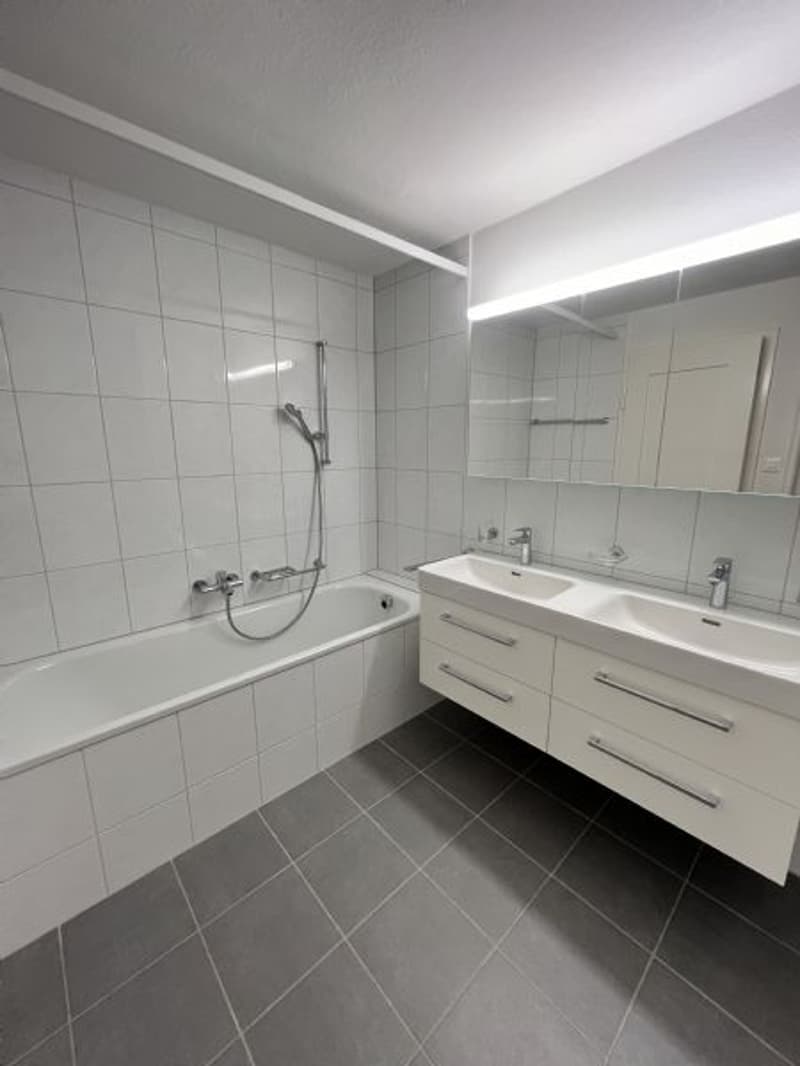 Sanierte 6-Zimmerwohnung an guter Lage zu vermieten (9)