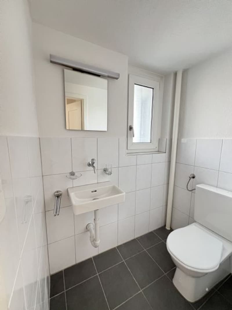 Sanierte 6-Zimmerwohnung an guter Lage zu vermieten (11)