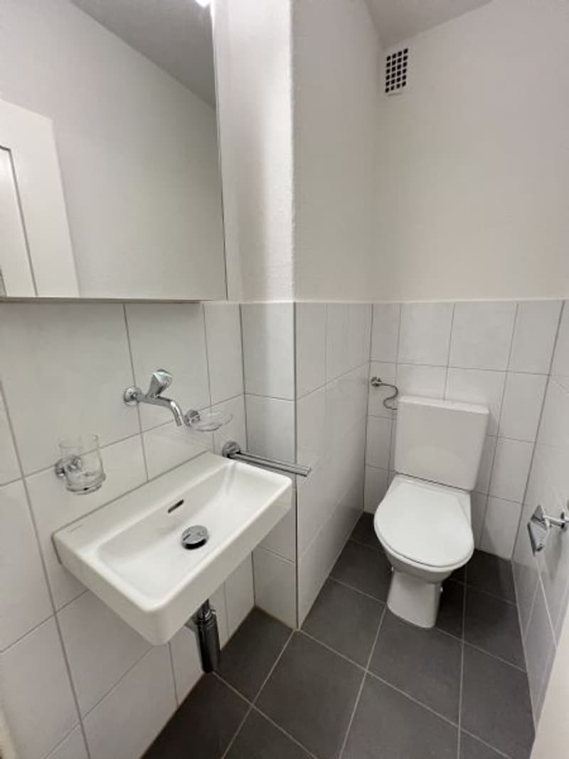 Sanierte 6-Zimmerwohnung an guter Lage zu vermieten (10)