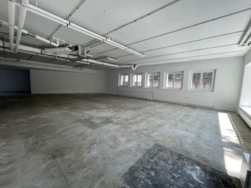 Vielseitiger Gewerberaum mit 206 m² in Olten (2)