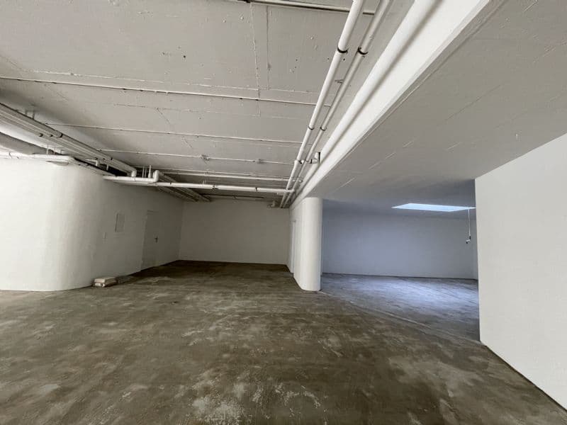 Vielseitiger Gewerberaum mit 206 m² in Olten (5)