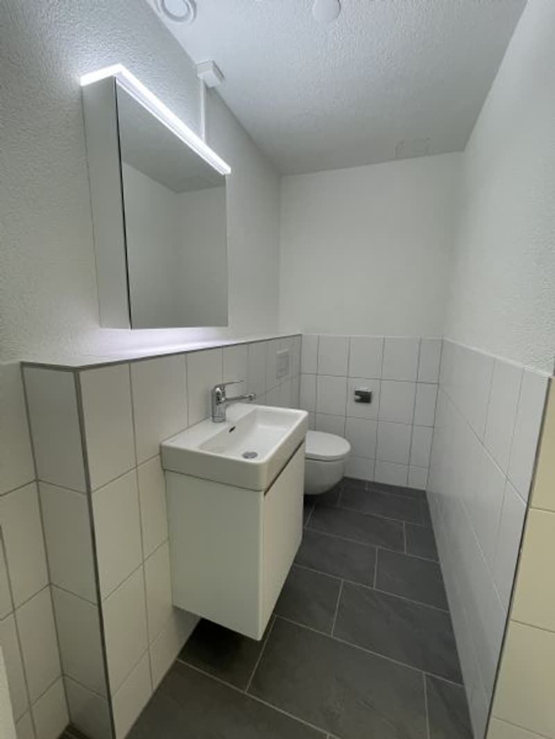 Vielseitiger Gewerberaum mit 206 m² in Olten (3)