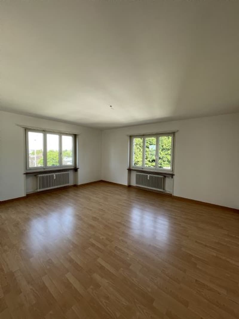 4,5-Zimmerwohnung (4)
