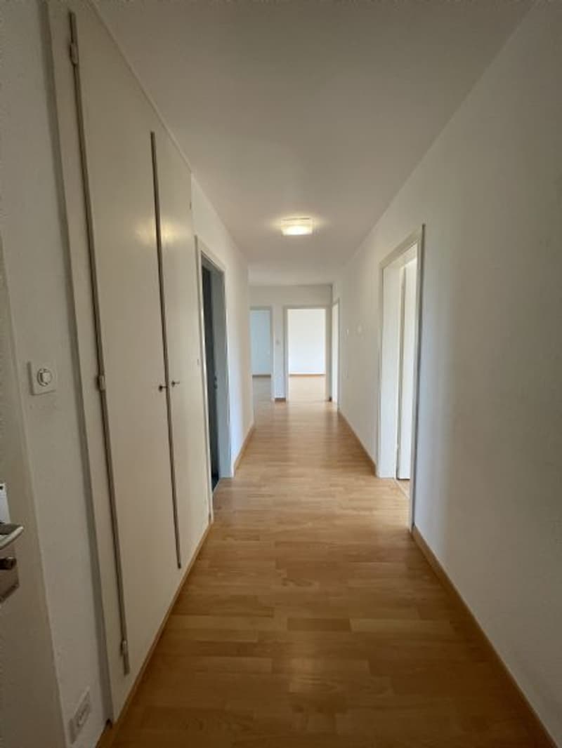 4,5-Zimmerwohnung (7)