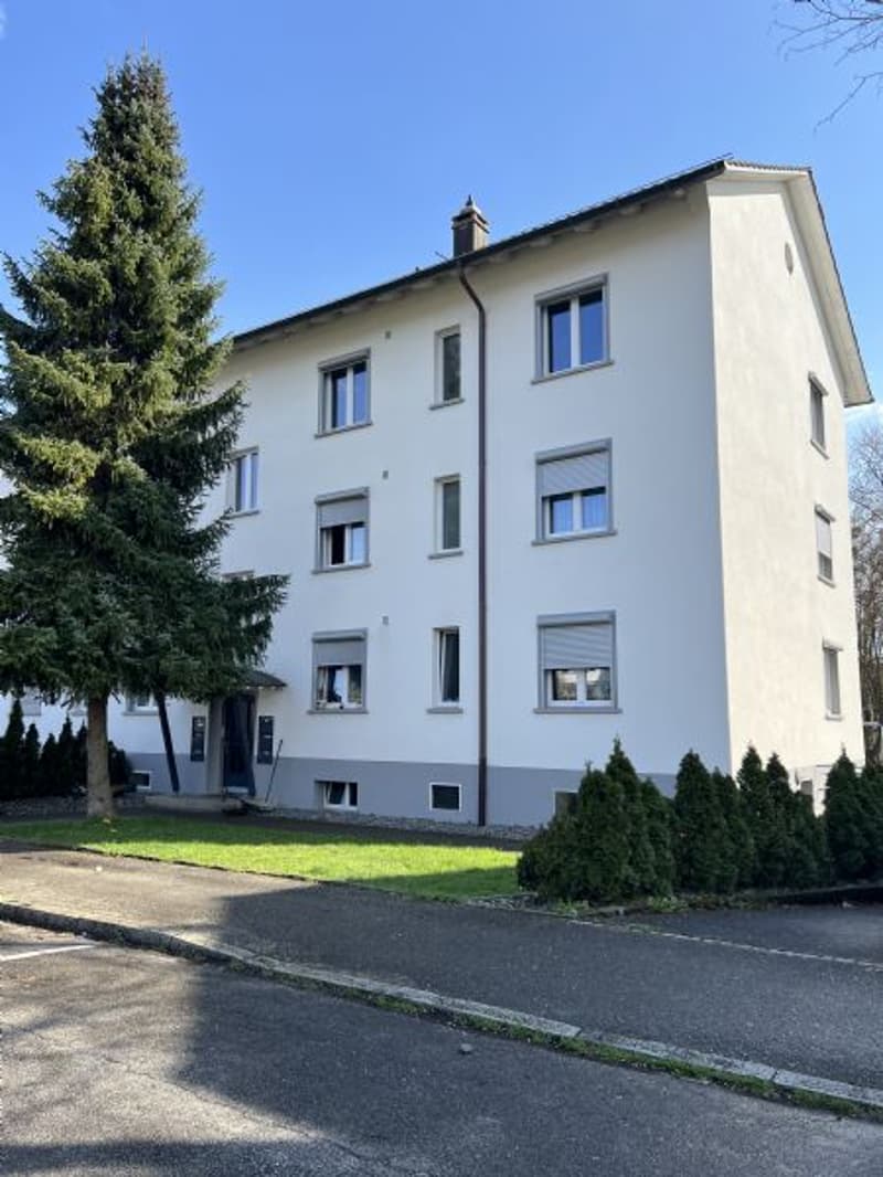 Sanierte und helle 3-Zimmerwohnung nähe Allmend Bahnhof zu vermieten (2)