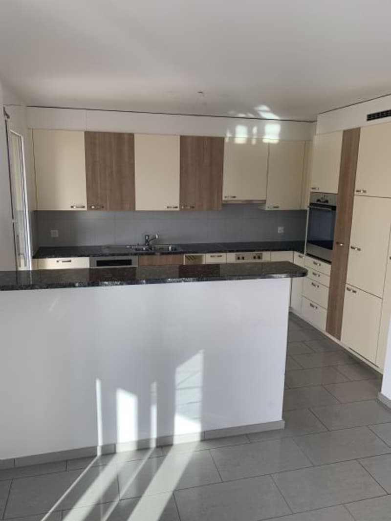 Helle 4.5 Zimmerwohnung zu vermieten (2)