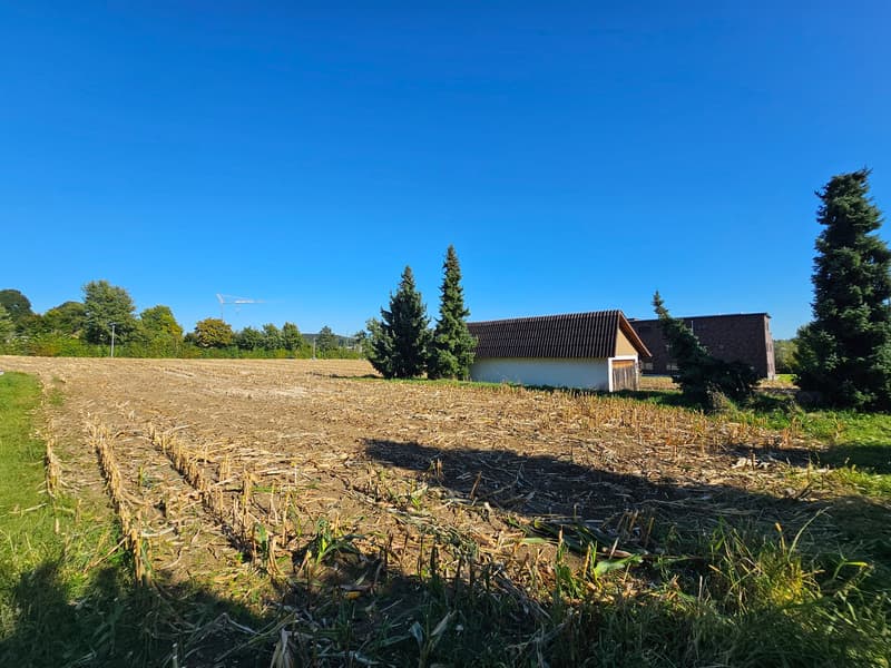 an open field with plowed soil, a small white house, a larger brown house, several trees
