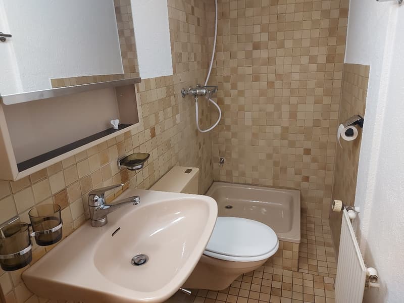 tiled walls, white toilet, sink with faucet, shower with hose, radiator, shelves, and wall-mounted soap dish