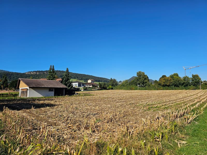 Ansicht Süd-West