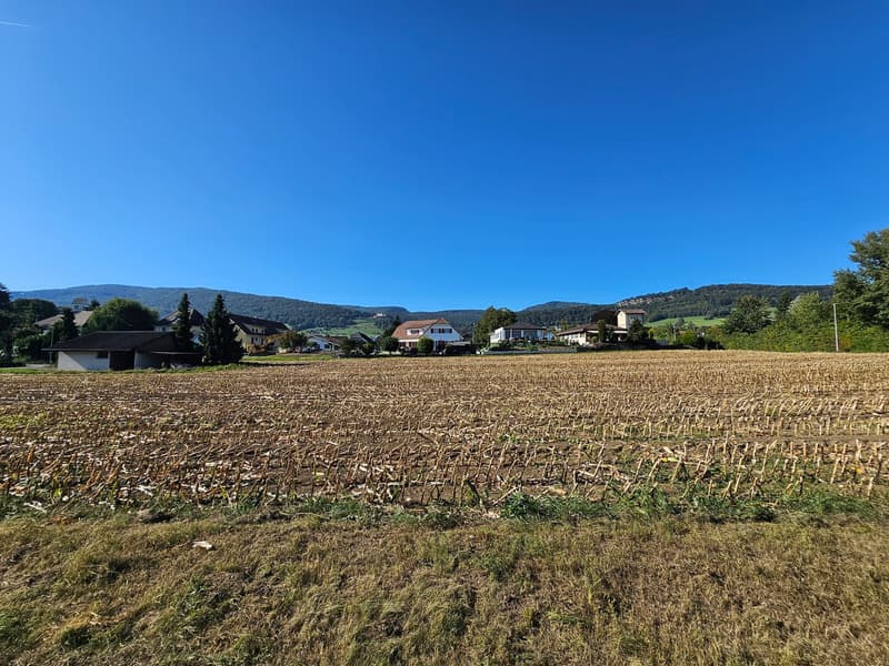 Ansicht Süd
