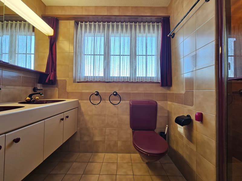 Separates WC mit Dusche und Lavabo EG