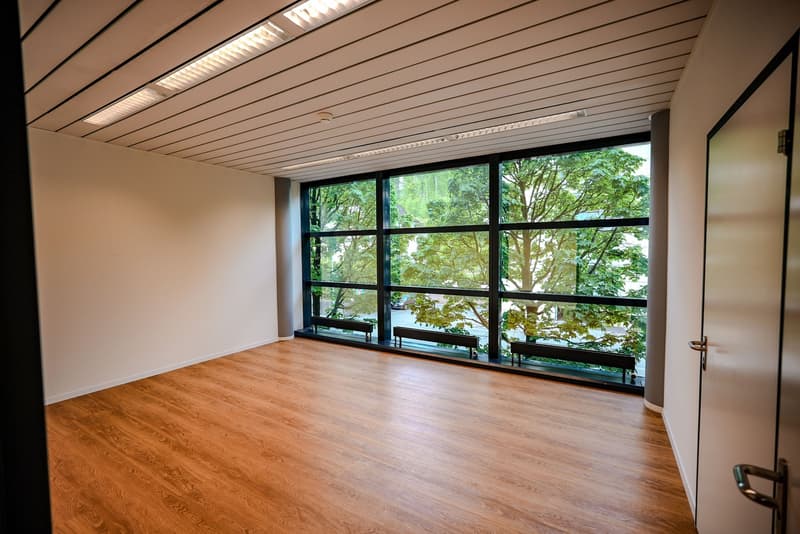 Rental of office/commercial space on the 1st floor (5)